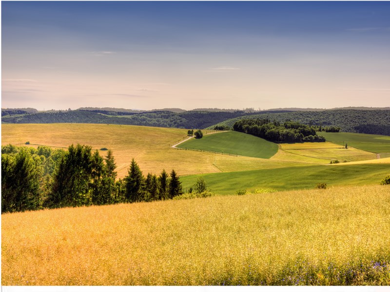 Сонца пячэ, Ліпа цвіце, Збожжа даспявае –  Калі гэта бывае?